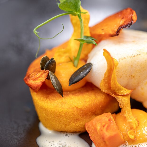 Pan-fried scallop dish with pumpkin puree and sprout