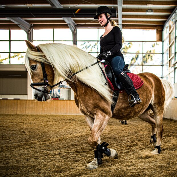 Reiterin auf blondem Haflingerpferd in Reithalle