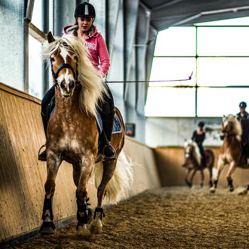  indoor riding arena obergurgl