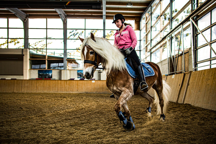 horse riding on a summer holiday Obergurgl