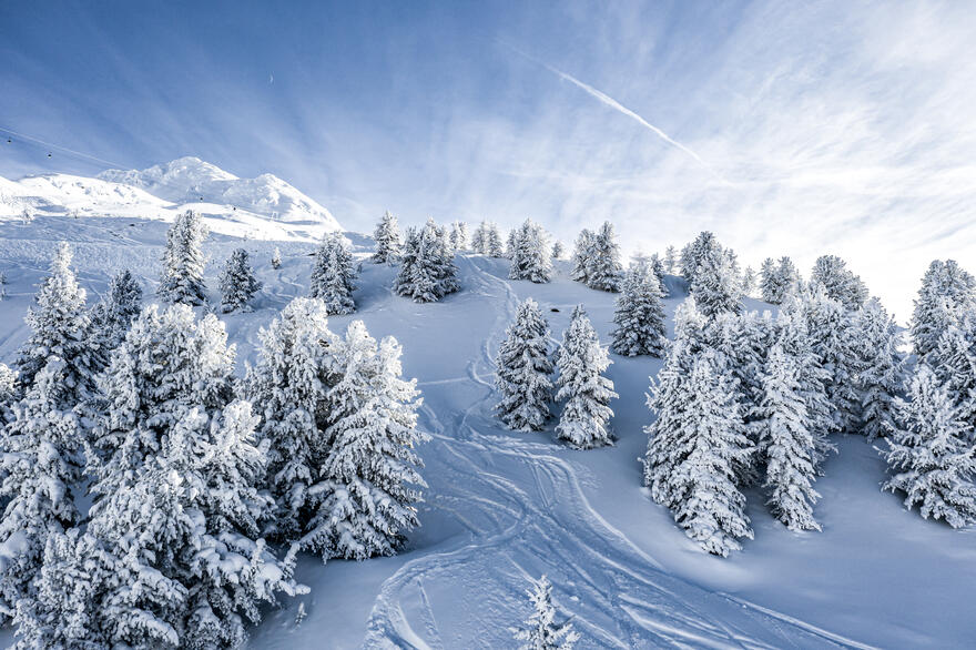 tiefschneefahren obergurgl | © Alexander Maria Lohmann