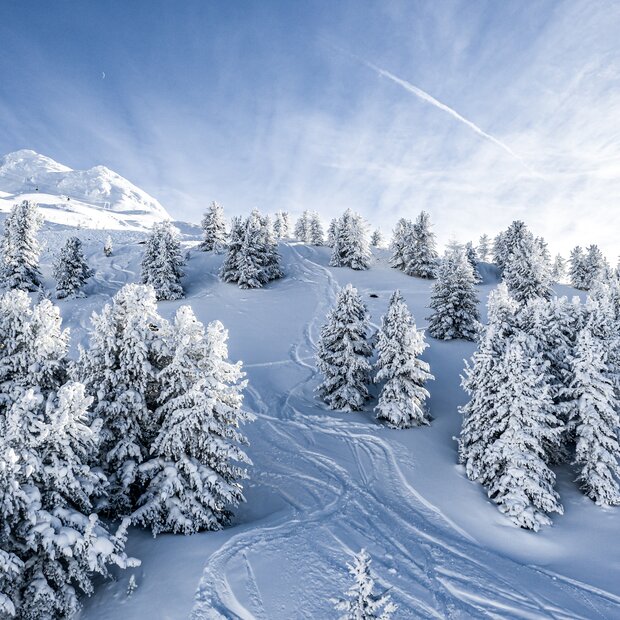 tiefschneefahren obergurgl | © Alexander Maria Lohmann