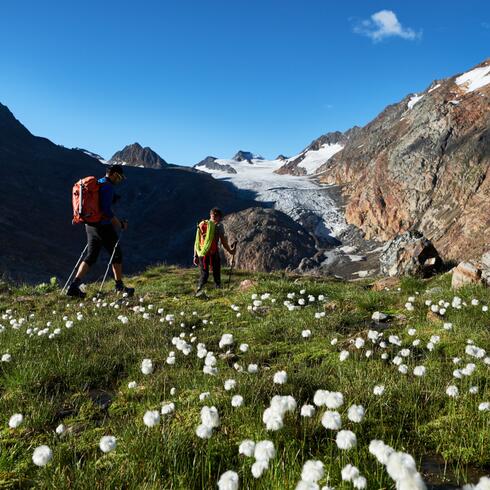 mountain tour summer Obergurgl