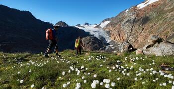 mountain tour summer Obergurgl