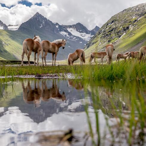 Gurgl Rotmoostal in summer